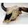 Mendler Deko Schädel 45cm HWC-T454, Polyresin Stier Bulle Longhorn Kopf Trophäe, In-/Outdoor ~ naturfarben