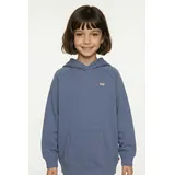 Levi's Hoodie Coastal Fjord 152