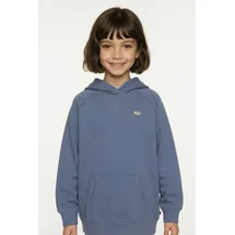 Levi's Hoodie Coastal Fjord 152