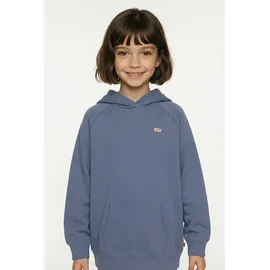 Levi's Hoodie Coastal Fjord 152