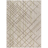 Sehrazat Teppich »Magic 3620«, rechteckig, In- und Outdoor geeignet, Wohnzimmer, 30609807-3 grün/grau 5 mm