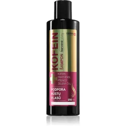 Cemio Kofein Colour Koffein Shampoo 250 ml