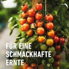 Compo Bio Tomatendünger 1 l