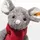 Steiff Cosy Christmas Mia Maus 21 cm Grau