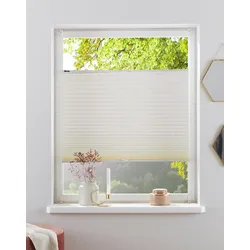 Plissee MY HOME "DAHRA - in Crush-Optik" Gr. 7, beige (creme), B:100cm H:130cm, Obermaterial: 100% Polyester, Plissees, Fixmaß, Bestseller mit über 5500 4,5-Sterne-Bewertungen, Klemmträger