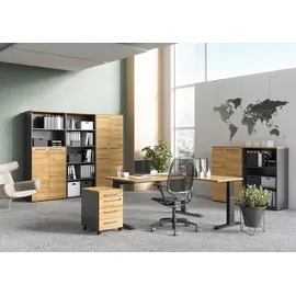 Germania Agenda Home, 4236-564 grafit, grandson-eiche 80,0 x 40,0 x 197,0 cm