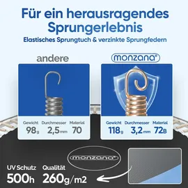 monzana Trampolin 244 x 305 cm inkl. Sicherheitsnetz und Leiter Schwarz