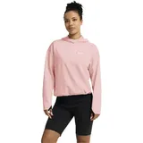 Jack Wolfskin Astrotrail Hoodie Rosa L