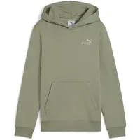 Puma Hoodie Green 164