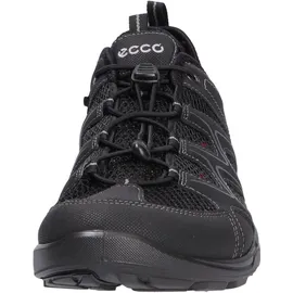 ECCO Terracruise LT Herren Schwarz 39