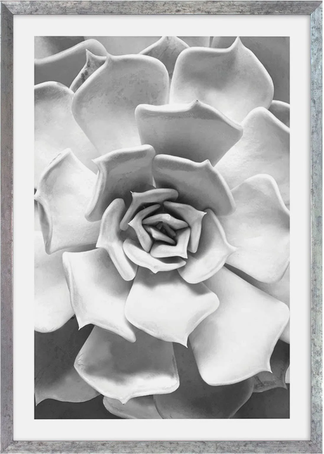 Komar Bild mit Rahmen »Succulent Aeonium«, maschinell Komar bunt