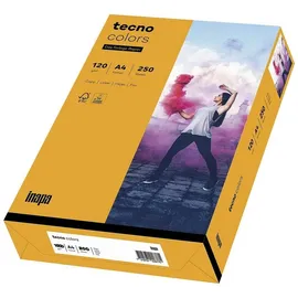Inapa tecno colors A4 120 g/m2 250 Blatt mittelorange