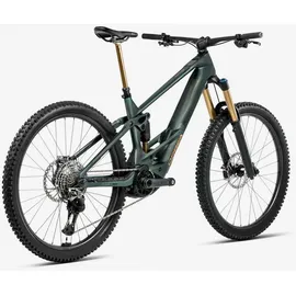 Orbea Wild M10 Mullet 2026 29/27,5 Zoll M Seaweed Carbon View Matt