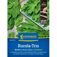 Kiepenkerl Rucola-Triosamen Trio 1024770 - Spannende Kombination aus Wasabi, Rucola und Salatrauke mit einem Inhalt für 5 lfd. Meter - Saatband, Pflanzen, Gemüsesamen