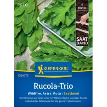 Kiepenkerl Rucola-Triosamen Trio 1024770 - Spannende Kombination aus Wasabi, Rucola und Salatrauke mit einem Inhalt für 5 lfd. Meter - Saatband, Pflanzen, Gemüsesamen