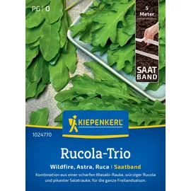 Kiepenkerl Rucola-Triosamen Trio 1024770 - Spannende Kombination aus Wasabi, Rucola und Salatrauke mit einem Inhalt für 5 lfd. Meter - Saatband, Pflanzen, Gemüsesamen