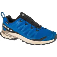 Salomon XA Pro 3D V9 GTX Herren Poseidon/White Pepper/Falcon 46 2/3