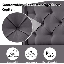 Flieks Polsterbett 160 x 200 cm Grau