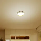 Philips Hanno Deckenleuchte, LED 8720169301375