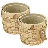 HMF Innovativer Blumentopf 14 Ø x 14 cm Wasserhyazinthe
