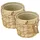 HMF Innovativer Blumentopf 14 Ø x 14 cm Wasserhyazinthe