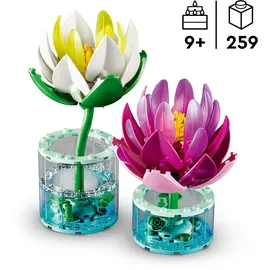 LEGO Botanicals Seerosen 11511