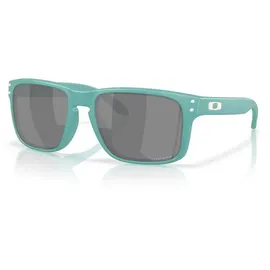 OAKLEY Holbrook Black, Sonnenbrille - Blau Stark-Getönt