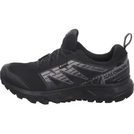 Salomon Wander GTX Herren Black/Pewter/Frost Gray 46