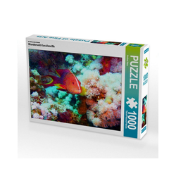 CALVENDO Puzzle CALVENDO Puzzle Wunderwelt Korallenriffe 1000 Teil, 1000 Puzzleteile