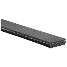 Gates Keilrippenriemen 4PK725XS