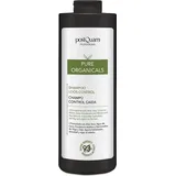 postQuam Organicals Anti Haarausfall Shampoo 1000Ml