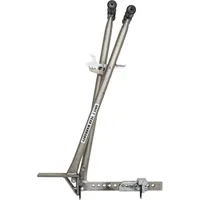 Orit Plattenzieher, "Newton" Galvanisiert