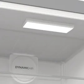 Gorenje R619DAXL6 Kühlschrank (398 l, 1850 mm hoch, Grau)