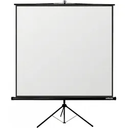 Reflecta Canvas Crystal Line 125cm Projektionsbildschirm