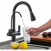 Küchenarmatur 3-Wege Wasserfilter Trinkwasserarmatur Ausziehbar mit Brause