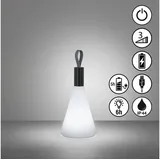 FH Lighting PRIAN Schwarz Weiß