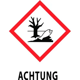 Steinbach Algezid 5 L, Algenverhütung, flüssig