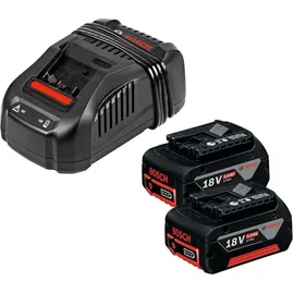 Bosch Professional Starterset 18 V Li-Ion 5,0 Ah 1600A00B8J