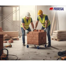 Proregal Transportroller 800 kg
