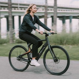 Urtopia Carbon E-Bike 28 Zoll RH 46 cm sirius