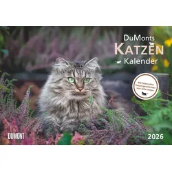 DuMonts Katzen Kalender - Kalender 2026