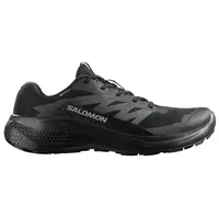 Salomon Alphaglide GTX Herren Schwarz/Grau 46