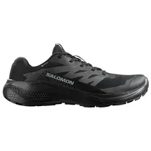 Salomon Alphaglide GTX Herren Schwarz/Grau 46