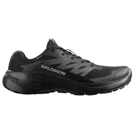 Salomon Alphaglide GTX Herren Schwarz/Grau 46