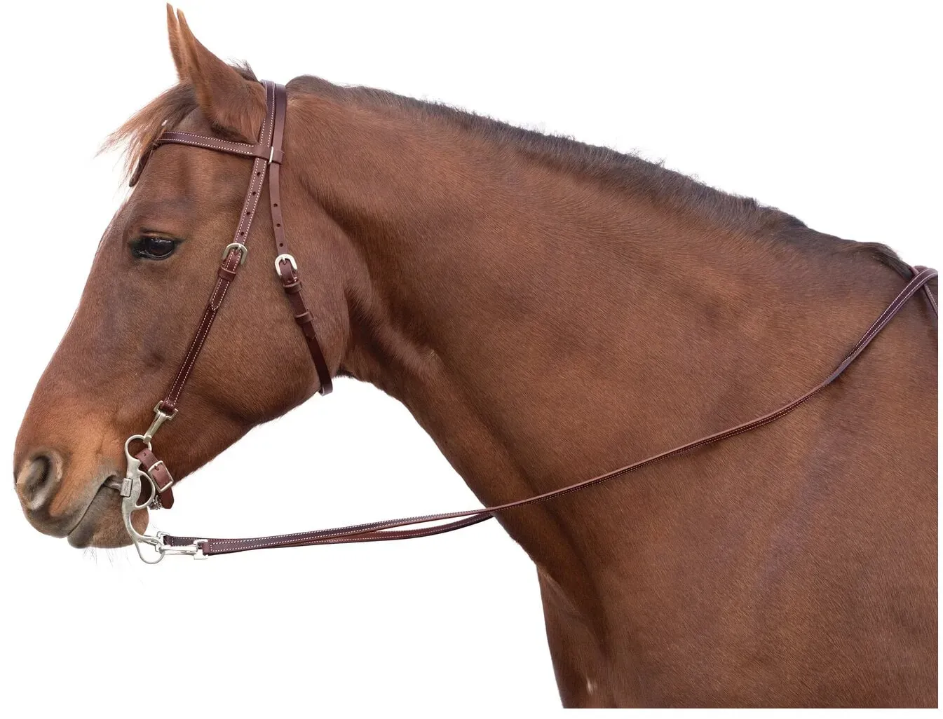 L-pro West Westerntrense brown PONY