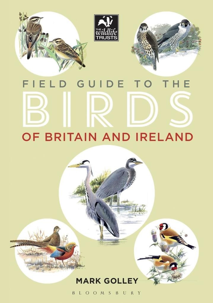 Field Guide to the Birds of Britain and Ireland: eBook von Mark Golley