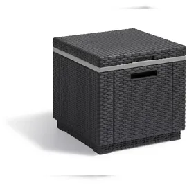 ALLIBERT Ice Cube 40 l graphit