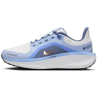 Nike Winflo 11 GORE-TEX wasserdichter Straßenlaufschuh Damen Laufschuhe Damen - Grau, 41