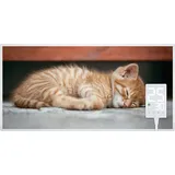 Heidenfeld Infrarotheizung HF-HP105, mit Bild, 16 Motive, 10 J. Garantie, Thermostat, Wandmontage (1000 Watt, Katze)