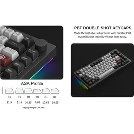Akko 5075B Plus Dracula Castle RGB Gaming Tastatur ANSI 75% Layout 2.4G/Bluetooth/Type-C Linearer Schalter - Grau